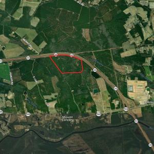 Photo #3 of TBD Highway 905, Conway, SC 87.3 acres