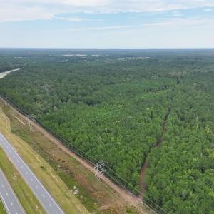 Photo #8 of TBD Highway 905, Conway, SC 87.3 acres