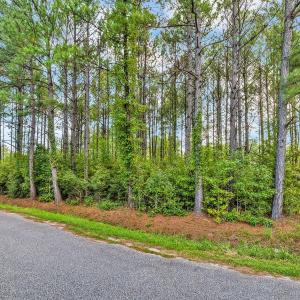 Photo #11 of TBD Platt Town Place, Little River, SC 8.2 acres