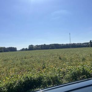 Photo #8 of Highway 38, Blenheim, SC 60.2 acres