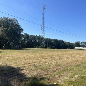Photo #1 of Highway 38, Blenheim, SC 60.2 acres