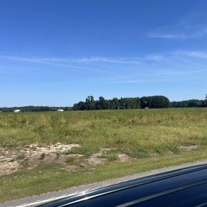 Photo #5 of Highway 38, Blenheim, SC 60.2 acres