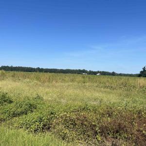 Photo #2 of Highway 38, Blenheim, SC 60.2 acres