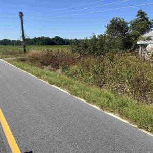 Photo #10 of Highway 38, Blenheim, SC 60.2 acres