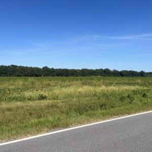Photo #6 of Highway 38, Blenheim, SC 60.2 acres