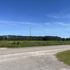 Photo #13 of Highway 38, Blenheim, SC 60.2 acres