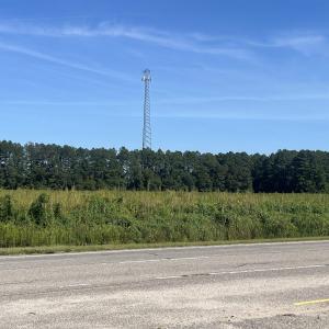 Photo #15 of Highway 38, Blenheim, SC 60.2 acres