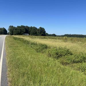 Photo #3 of Highway 38, Blenheim, SC 60.2 acres