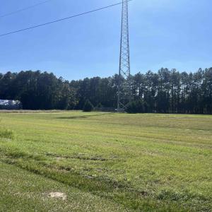 Photo #4 of Highway 38, Blenheim, SC 60.2 acres