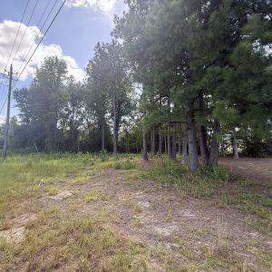 Photo #6 of TBD Highway 501, Marion, SC 1.0 acres
