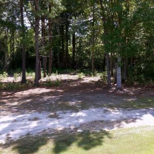 Photo #7 of TBD Highway 501, Marion, SC 1.0 acres