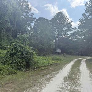 Photo #6 of 7710 Highway 544, Myrtle Beach, SC 3.5 acres