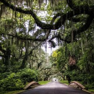 Photo #4 of Cabaniss Ln., Pawleys Island, SC 0.7 acres