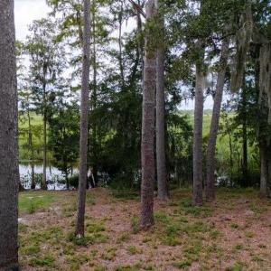 Photo #1 of Cabaniss Ln., Pawleys Island, SC 0.7 acres