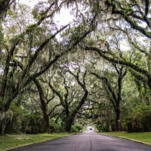 Photo #3 of Cabaniss Ln., Pawleys Island, SC 0.7 acres