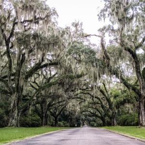 Photo #5 of Cabaniss Ln., Pawleys Island, SC 0.7 acres