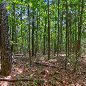 Photo #41 of 7000 John Furr Rd, Concord, NC 25.0 acres