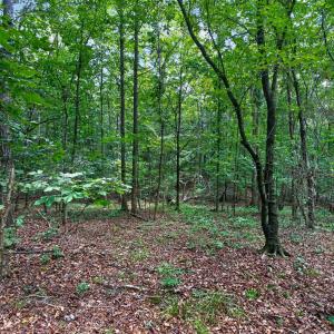 Photo #43 of 7000 John Furr Rd, Concord, NC 25.0 acres