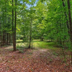Photo #34 of 7000 John Furr Rd, Concord, NC 25.0 acres