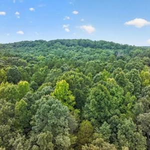 Photo #14 of 7000 John Furr Rd, Concord, NC 25.0 acres