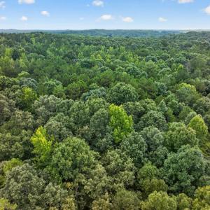 Photo #13 of 7000 John Furr Rd, Concord, NC 25.0 acres