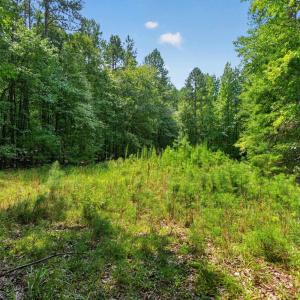 Photo #28 of 7000 John Furr Rd, Concord, NC 25.0 acres