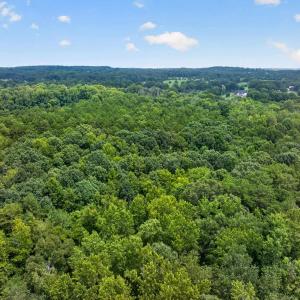 Photo #21 of 7000 John Furr Rd, Concord, NC 25.0 acres