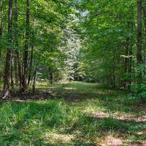 Photo #38 of 7000 John Furr Rd, Concord, NC 25.0 acres