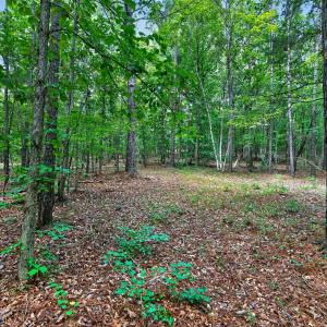 Photo #44 of 7000 John Furr Rd, Concord, NC 25.0 acres