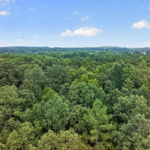 Photo #15 of 7000 John Furr Rd, Concord, NC 25.0 acres