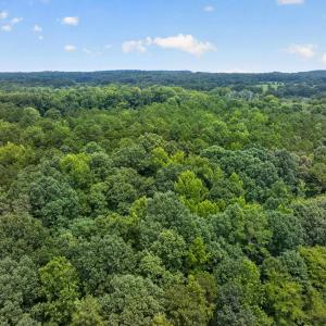 Photo #22 of 7000 John Furr Rd, Concord, NC 25.0 acres
