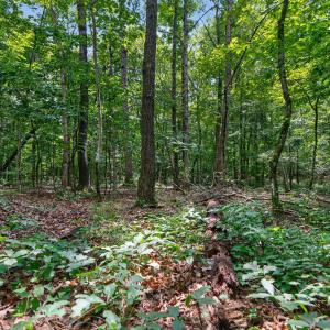 Photo #36 of 7000 John Furr Rd, Concord, NC 25.0 acres