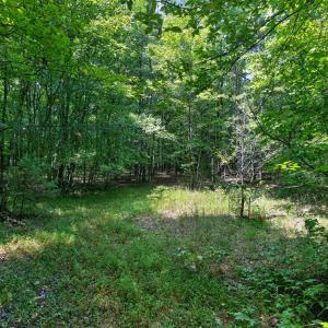 Photo #33 of 7000 John Furr Rd, Concord, NC 25.0 acres