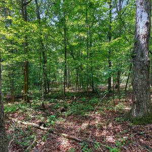 Photo #35 of 7000 John Furr Rd, Concord, NC 25.0 acres