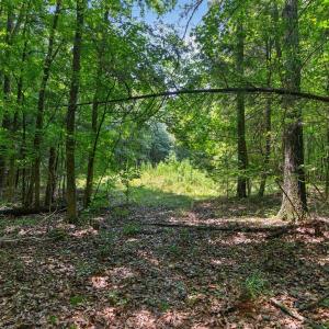 Photo #27 of 7000 John Furr Rd, Concord, NC 25.0 acres