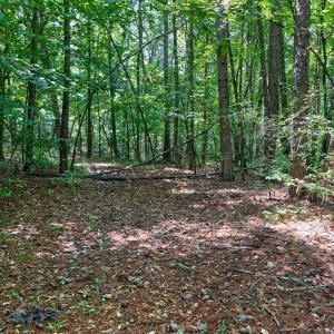 Photo #37 of 7000 John Furr Rd, Concord, NC 25.0 acres