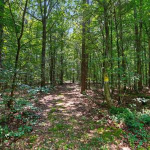 Photo #29 of 7000 John Furr Rd, Concord, NC 25.0 acres