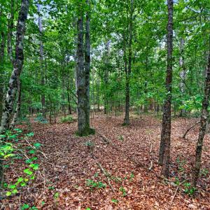 Photo #42 of 7000 John Furr Rd, Concord, NC 25.0 acres