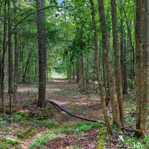 Photo #31 of 7000 John Furr Rd, Concord, NC 25.0 acres