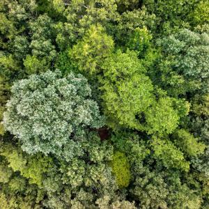 Photo #12 of 7000 John Furr Rd, Concord, NC 25.0 acres