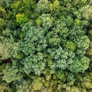 Photo #3 of 7000 John Furr Rd, Concord, NC 25.0 acres