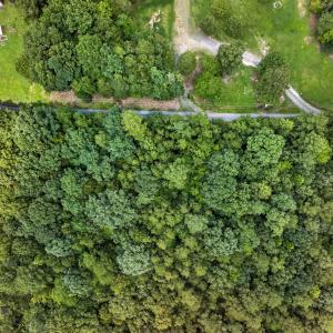 Photo #16 of 7000 John Furr Rd, Concord, NC 25.0 acres