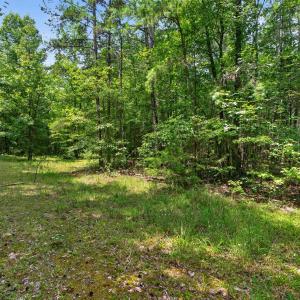 Photo #32 of 7000 John Furr Rd, Concord, NC 25.0 acres