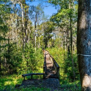 Photo #21 of 384 Chamberlin Rd., Myrtle Beach, SC 1.3 acres