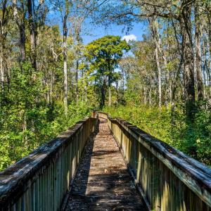 Photo #22 of 384 Chamberlin Rd., Myrtle Beach, SC 1.3 acres