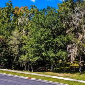 Photo #19 of 384 Chamberlin Rd., Myrtle Beach, SC 1.3 acres