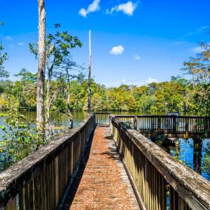 Photo #23 of 384 Chamberlin Rd., Myrtle Beach, SC 1.3 acres