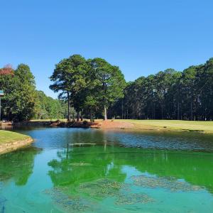 Photo #17 of 131 Waterhall Dr., Murrells Inlet, SC 0.4 acres