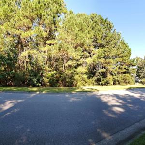 Photo #4 of 131 Waterhall Dr., Murrells Inlet, SC 0.4 acres