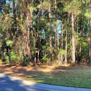 Photo #3 of 131 Waterhall Dr., Murrells Inlet, SC 0.4 acres